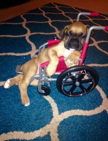 daily picdump 91 pics 41.html - 91 HD Photos | Premium Gallery 2016