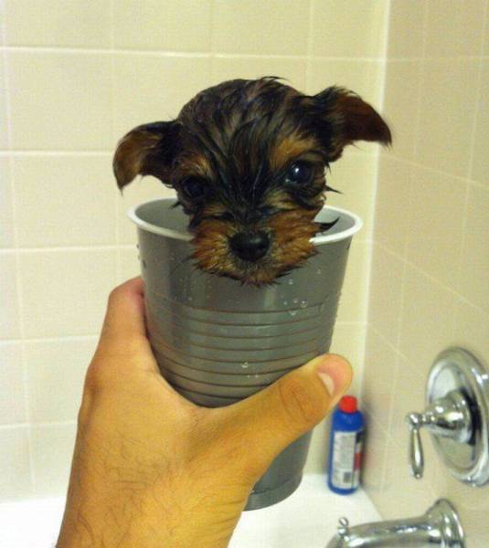 daily picdump 91 pics 41.html - 91 HD Photos | Premium Gallery 2016