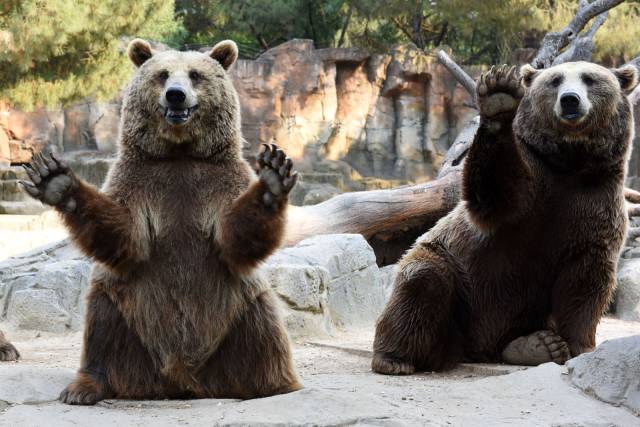 daily picdump 91 pics 41.html - 91 HD Photos | Premium Gallery 2016