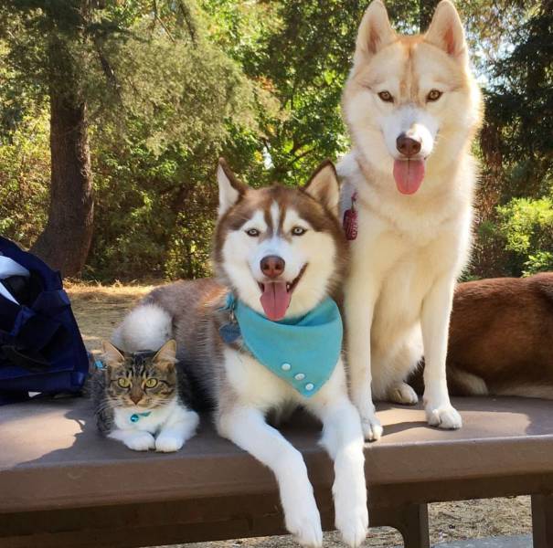 daily picdump 91 pics 41.html - 91 HD Photos | Premium Gallery 2016