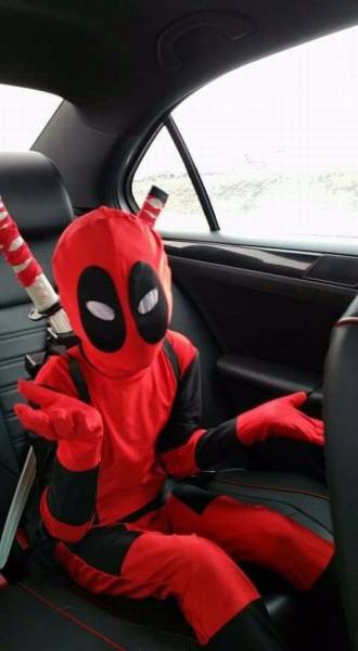 daily picdump 91 pics 41.html - 91 HD Photos | Premium Gallery 2016