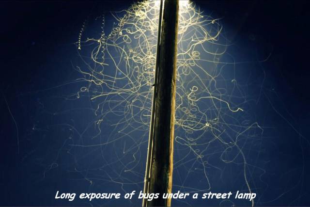 daily picdump 91 pics 41.html - 91 HD Photos | Premium Gallery 2016