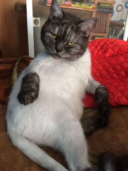 daily picdump 91 pics 41.html - 91 HD Photos | Premium Gallery 2016