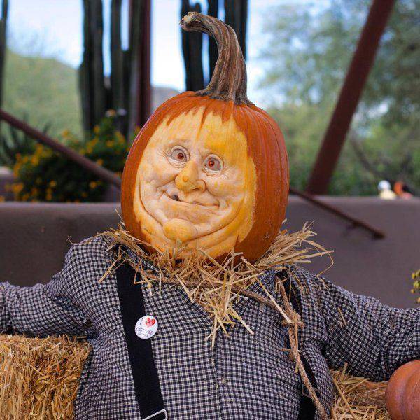 daily picdump 91 pics 41.html - 91 HD Photos | Premium Gallery 2016