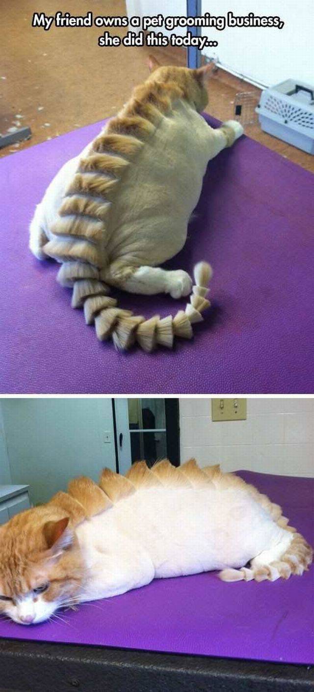 daily picdump 91 pics 41.html - 91 HD Photos | Premium Gallery 2016