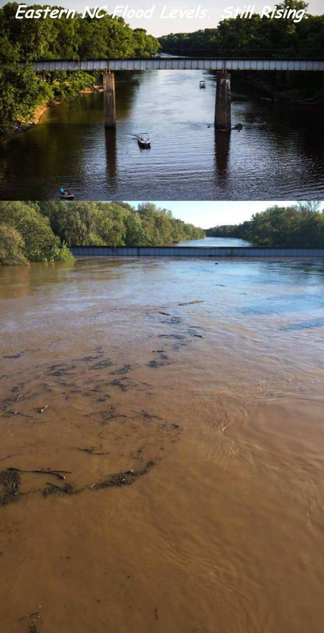 daily picdump 91 pics 41.html - 91 HD Photos | Premium Gallery 2016