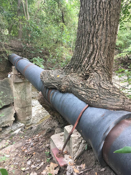 morning picdump 58 pics 29.html - 58 HD Photos | Premium Gallery 2016