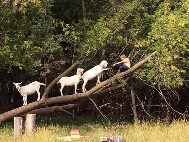 morning picdump 58 pics 29.html - 58 HD Photos | Premium Gallery 2016