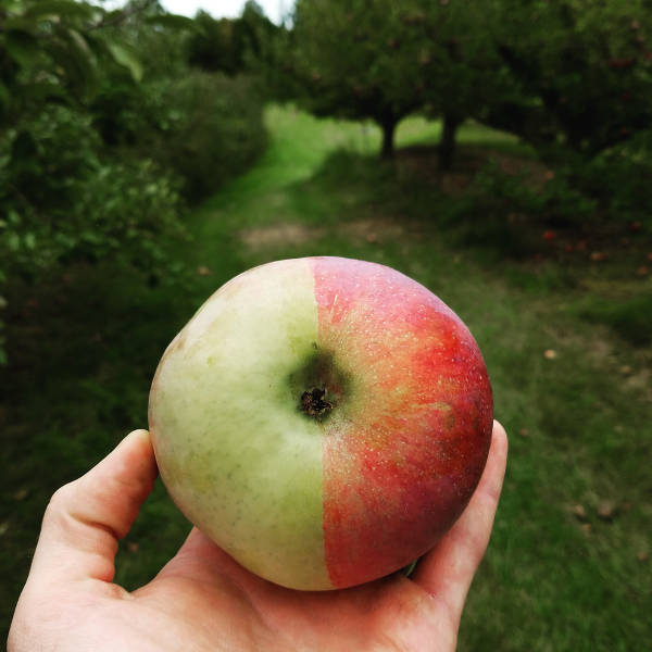 morning picdump 58 pics 29.html - 58 HD Photos | Premium Gallery 2016