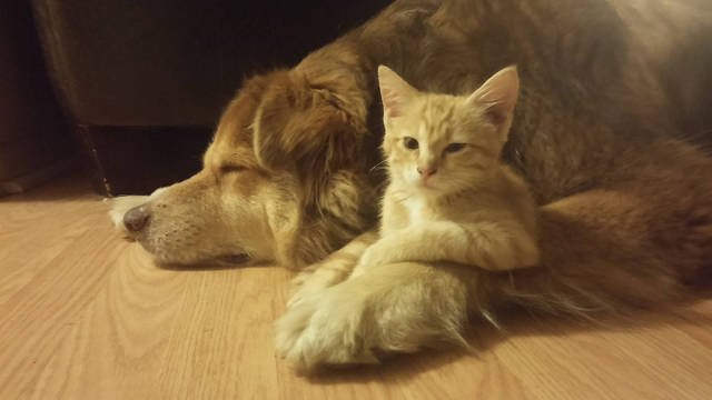 morning picdump 58 pics 29.html - 58 HD Photos | Premium Gallery 2016