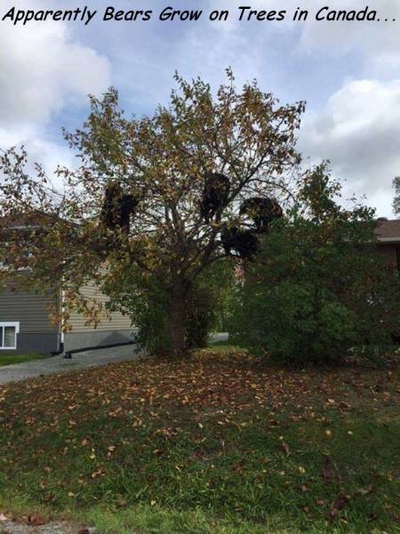 daily picdump 95 pics 9.html - 95 HD Photos | Premium Gallery 2016