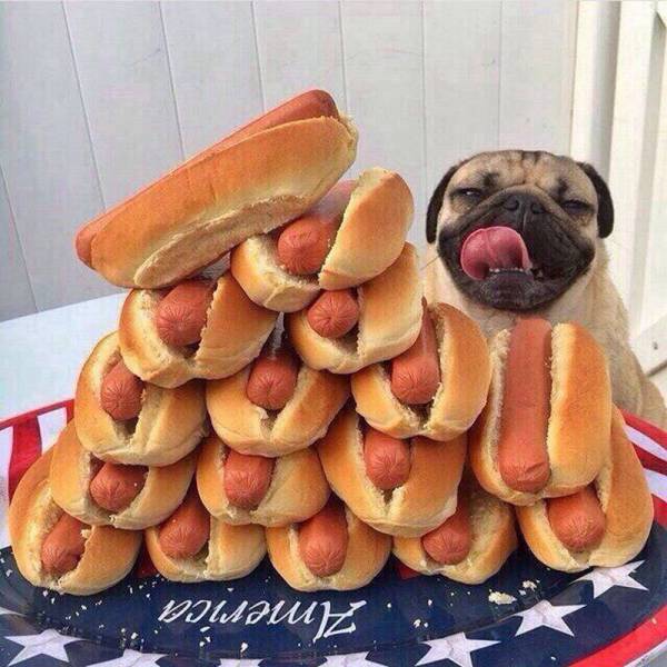 daily picdump 95 pics 9.html - 95 HD Photos | Premium Gallery 2016