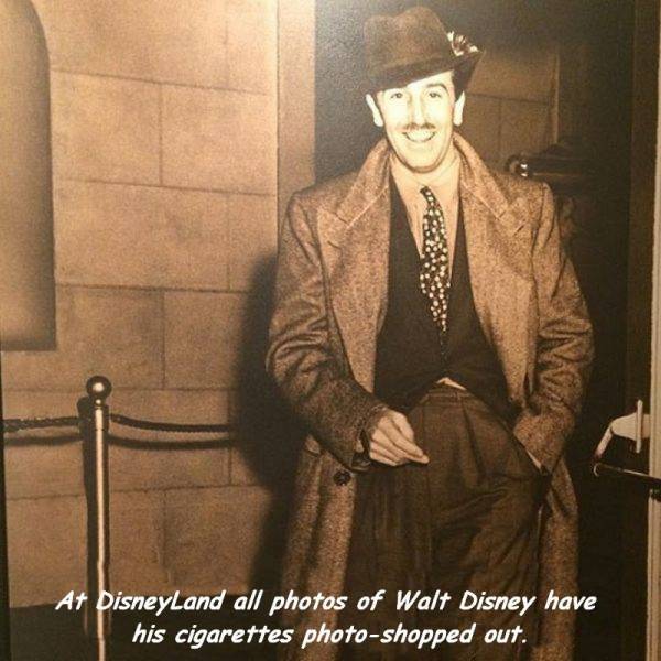 daily picdump 95 pics 9.html - 95 HD Photos | Premium Gallery 2016