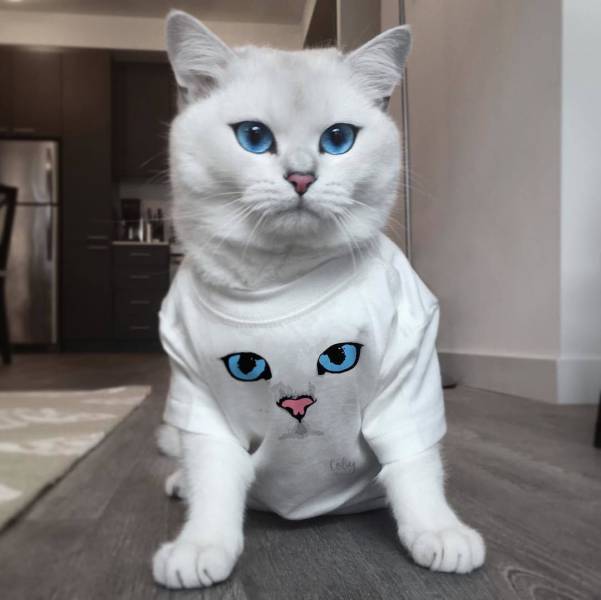 daily picdump 95 pics 9.html - 95 HD Photos | Premium Gallery 2016