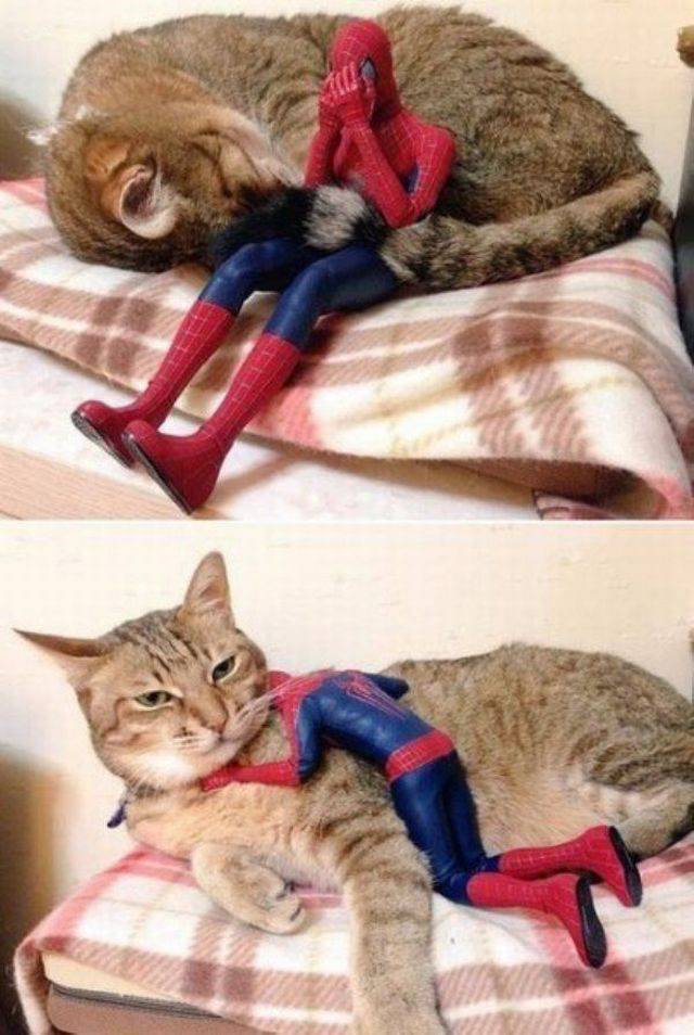 daily picdump 95 pics 9.html - 95 HD Photos | Premium Gallery 2016