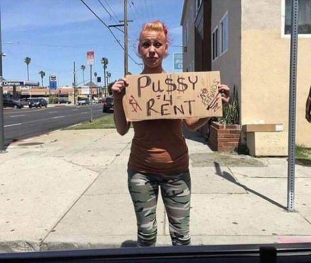 Funny Picdump