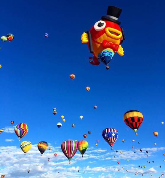 morning picdump 51 pics 6.html - 51 HD Photos | Premium Gallery 2016