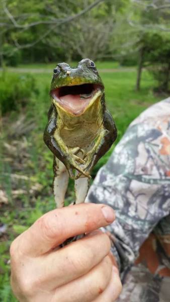 morning picdump 51 pics 6.html - 51 HD Photos | Premium Gallery 2016