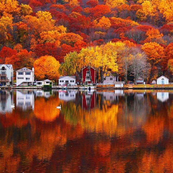 morning picdump 51 pics 6.html - 51 HD Photos | Premium Gallery 2016