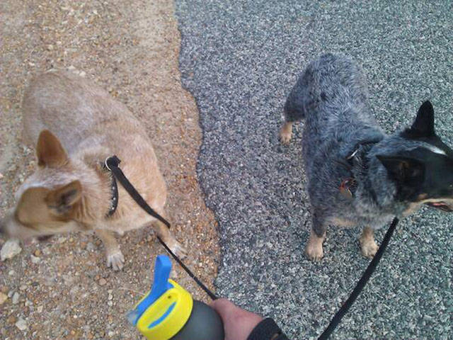 morning picdump 51 pics 6.html - 51 HD Photos | Premium Gallery 2016