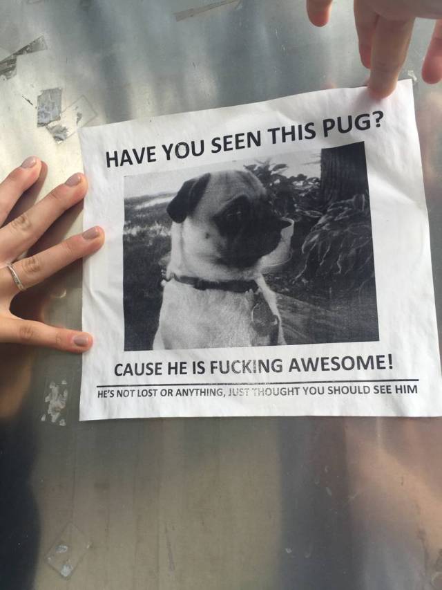 morning picdump 51 pics 6.html - 51 HD Photos | Premium Gallery 2016