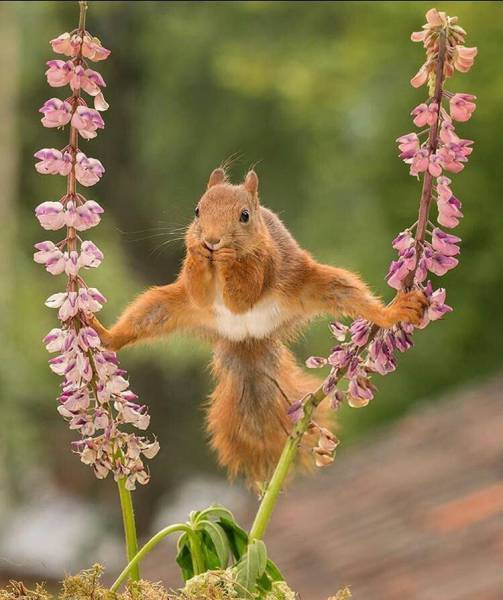 daily picdump 96 pics 38.html - 96 HD Photos | Premium Gallery 2016