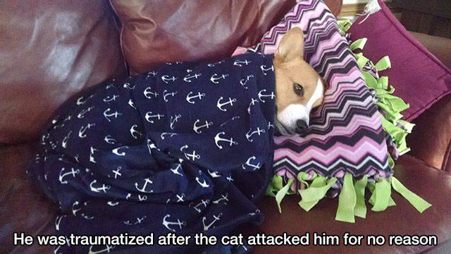 daily picdump 96 pics 38.html - 96 HD Photos | Premium Gallery 2016