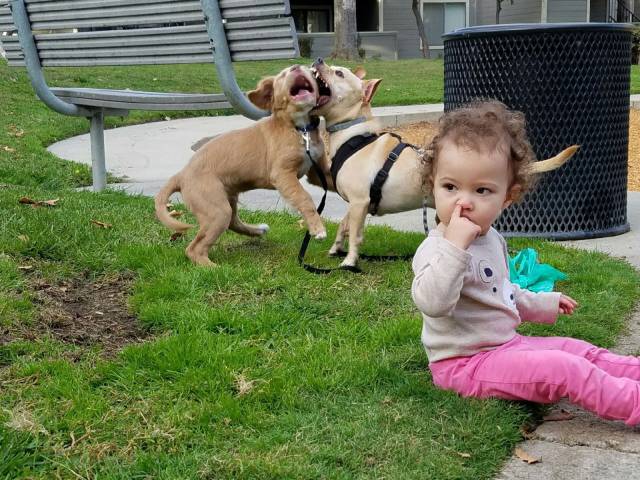 daily picdump 96 pics 38.html - 96 HD Photos | Premium Gallery 2016