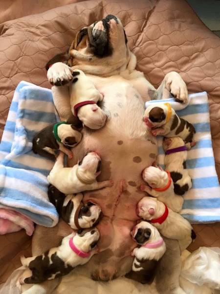 daily picdump 96 pics 38.html - 96 HD Photos | Premium Gallery 2016