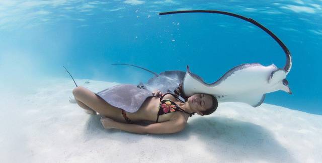 daily picdump 96 pics 38.html - 96 HD Photos | Premium Gallery 2016