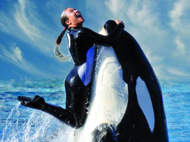 daily picdump 96 pics 38.html - 96 HD Photos | Premium Gallery 2016