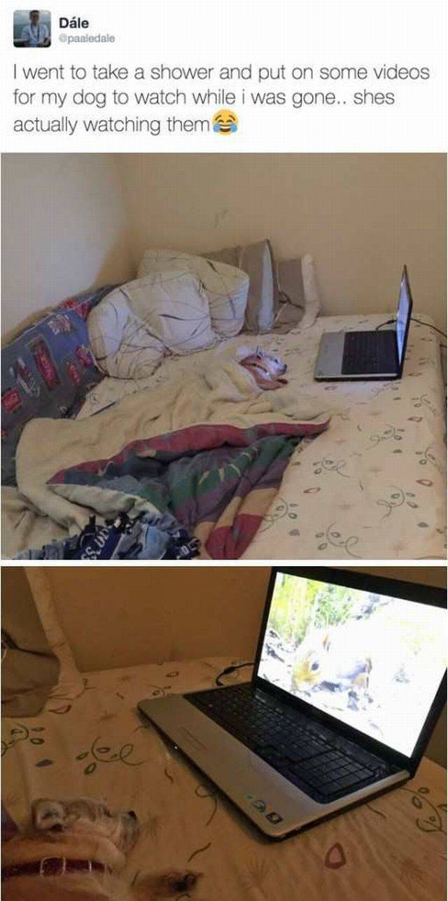 daily picdump 96 pics 38.html - 96 HD Photos | Premium Gallery 2016