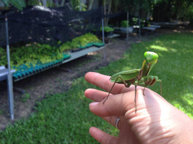 morning picdump 50 pics 21.html - 50 HD Photos | Premium Gallery 2016