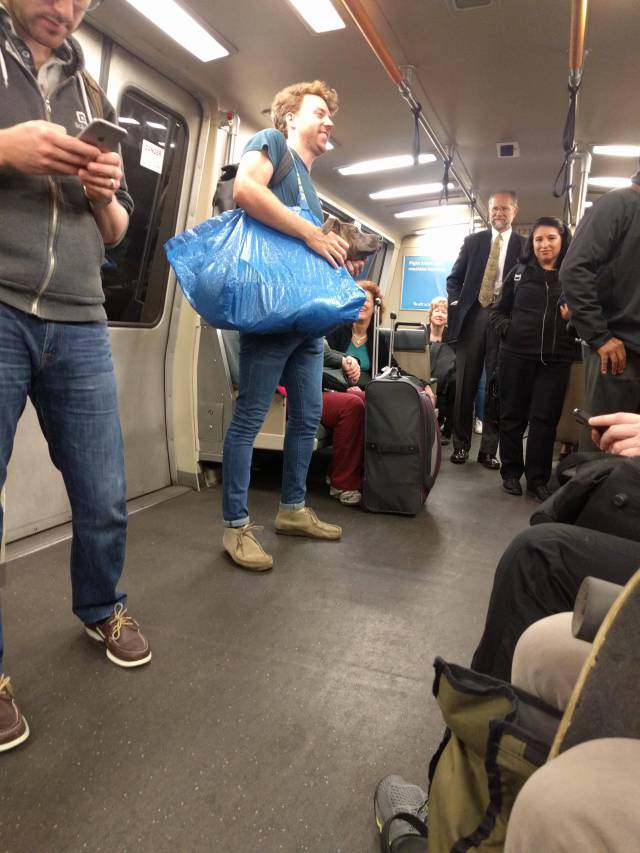 morning picdump 50 pics 21.html - 50 HD Photos | Premium Gallery 2016