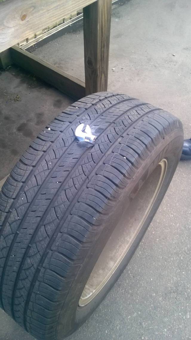 morning picdump 50 pics 21.html - 50 HD Photos | Premium Gallery 2016