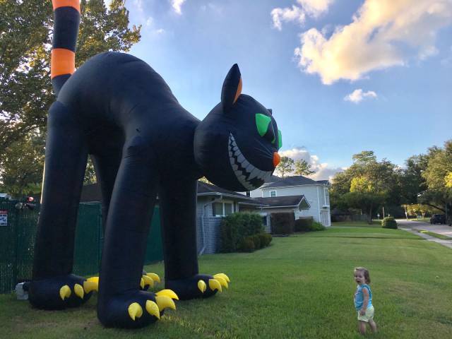 daily picdump 92 pics 19.html - 92 HD Photos | Premium Gallery 2016