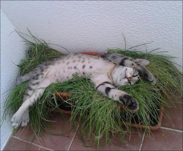 daily picdump 92 pics 19.html - 92 HD Photos | Premium Gallery 2016