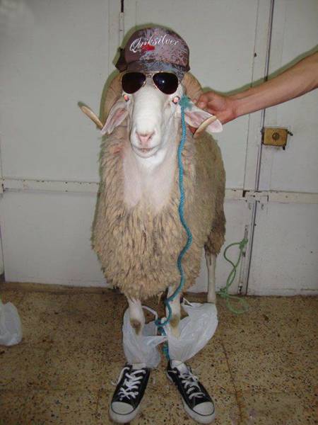 daily picdump 92 pics 19.html - 92 HD Photos | Premium Gallery 2016