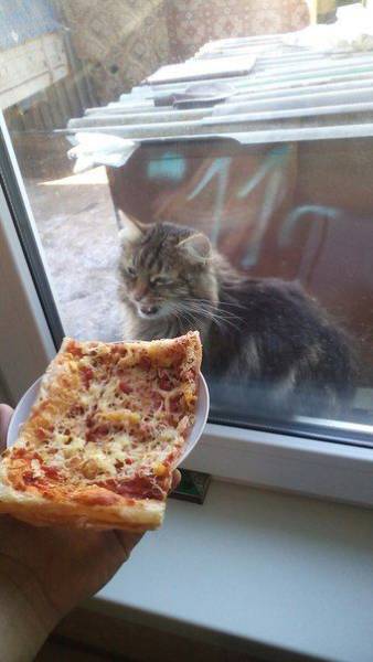 daily picdump 92 pics 19.html - 92 HD Photos | Premium Gallery 2016