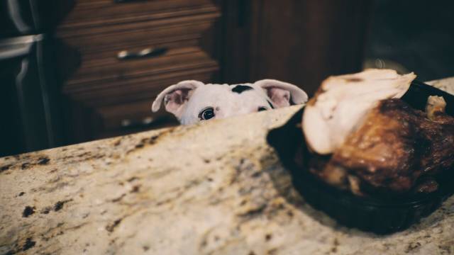 daily picdump 92 pics 19.html - 92 HD Photos | Premium Gallery 2016