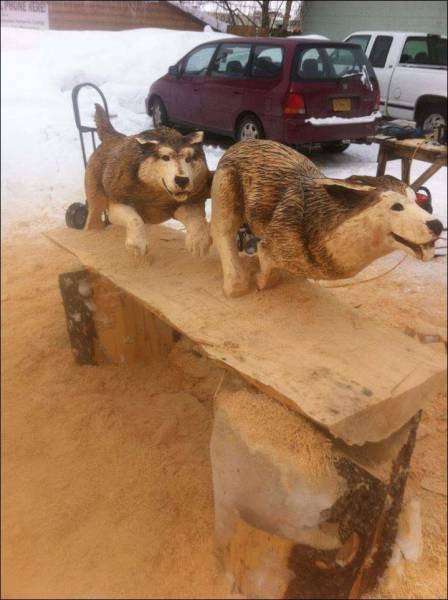 daily picdump 92 pics 19.html - 92 HD Photos | Premium Gallery 2016