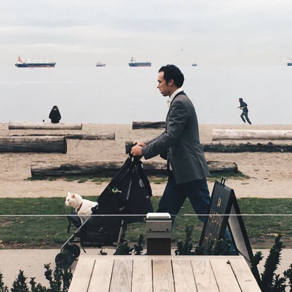 daily picdump 92 pics 19.html - 92 HD Photos | Premium Gallery 2016