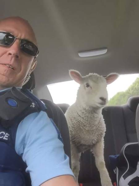 morning picdump 50 pics 3.html - 50 HD Photos | Premium Gallery 2016