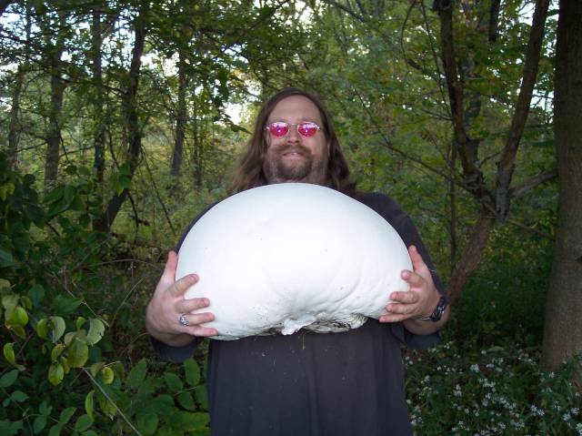 morning picdump 50 pics 3.html - 50 HD Photos | Premium Gallery 2016