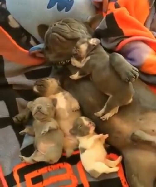 morning picdump 50 pics 3.html - 50 HD Photos | Premium Gallery 2016