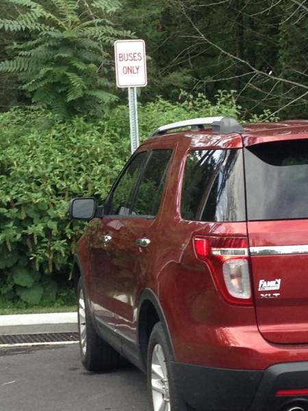 daily picdump weekend edition 74 pics 14.html - 74 HD Photos | Premium Gallery 2016