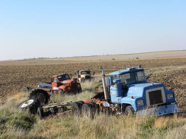 daily picdump weekend edition 74 pics 14.html - 74 HD Photos | Premium Gallery 2016