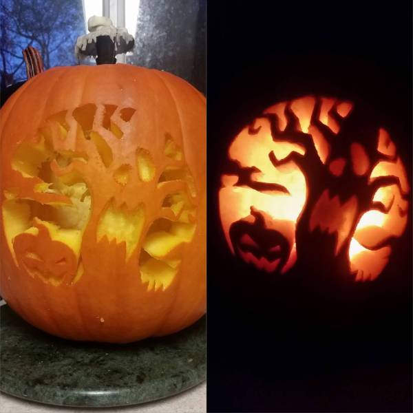 Daily Picdump [WEEKEND EDITION]