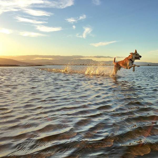 daily picdump weekend edition 74 pics 14.html - 74 HD Photos | Premium Gallery 2016