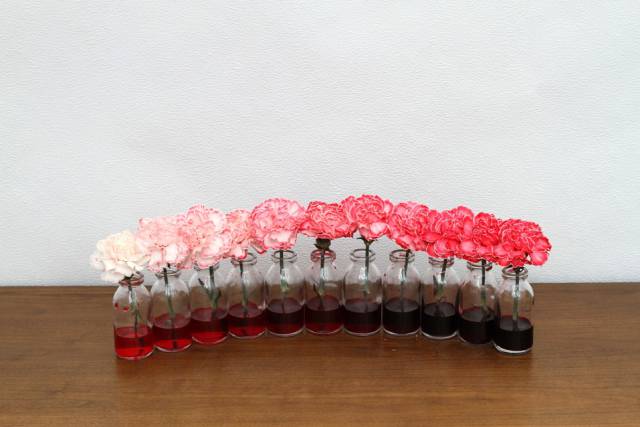 daily picdump weekend edition 74 pics 14.html - 74 HD Photos | Premium Gallery 2016